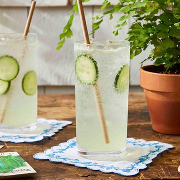 Two glasses of cucumber-infused sparkling drink with coasters and plant.
